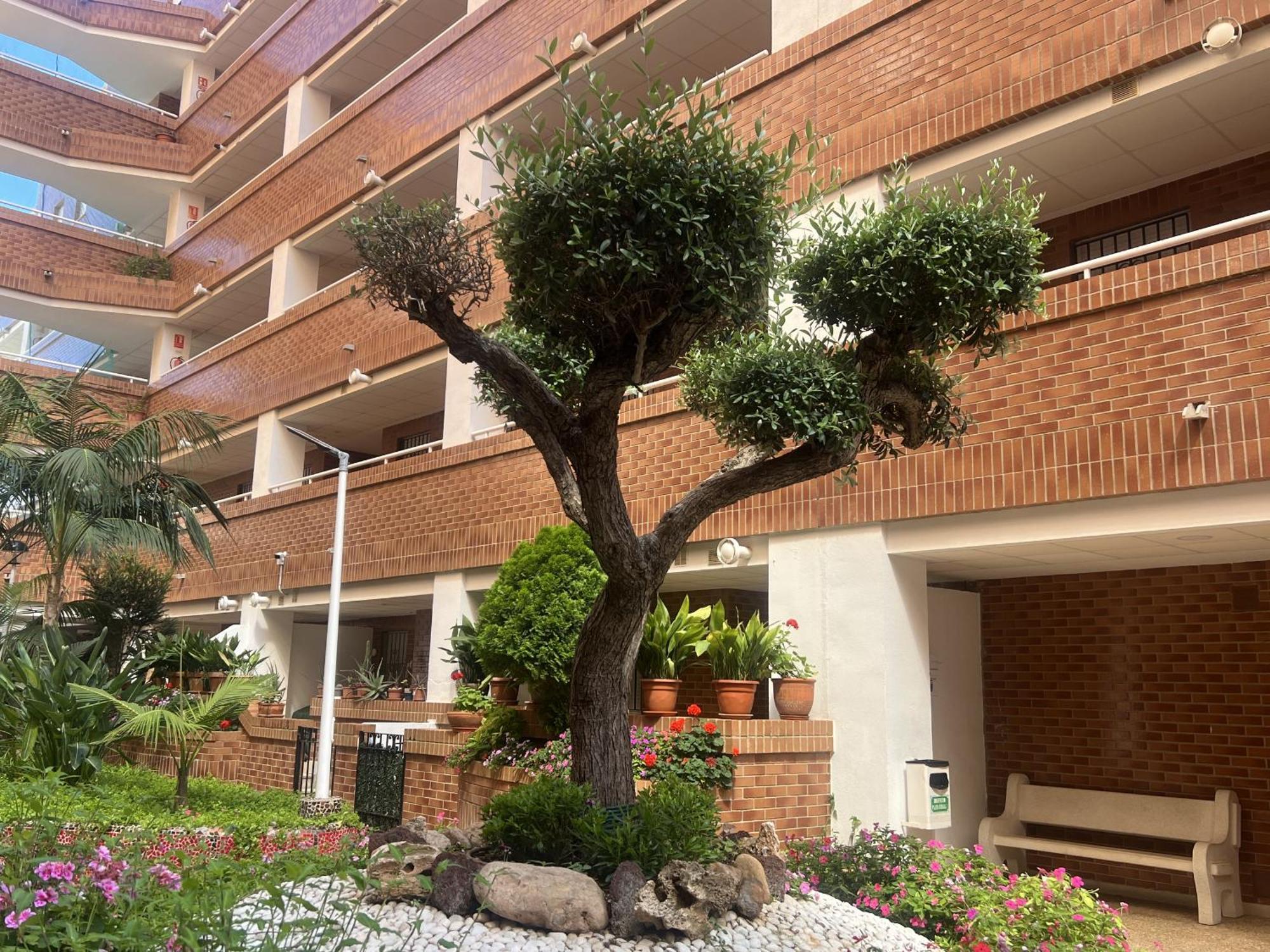 Apartamentos Marina Park Orpesa Kültér fotó